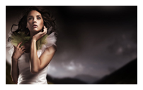 不会跑路的网页在线DDOS压力测试